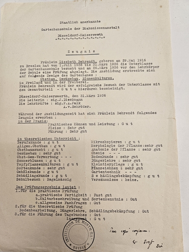 Completion Dusseldorf Program 1936