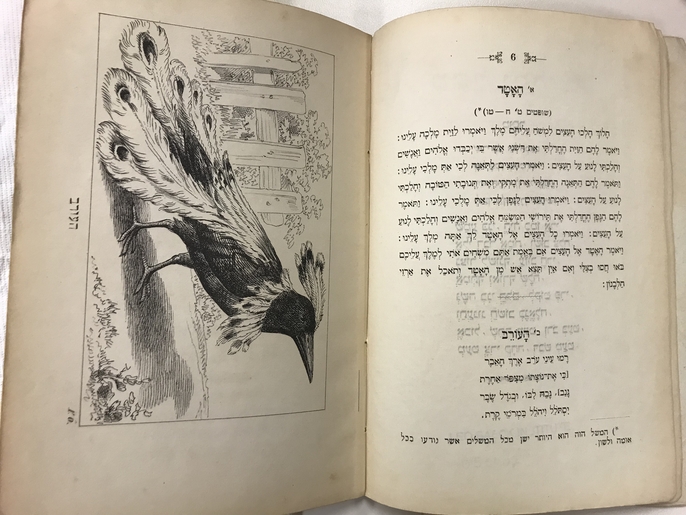 Children's Hebrew reader with fables by Moritz Steinschneider